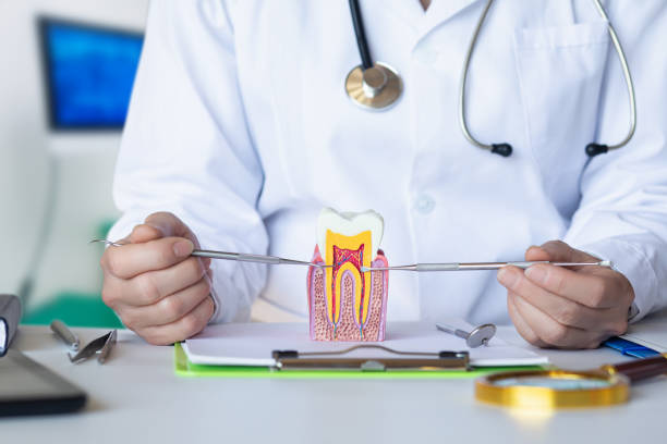 Best Urgent Dental Care for Toothache in Zebulon, NC